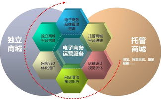 基于电子商务的企业信息资源整合建模图册