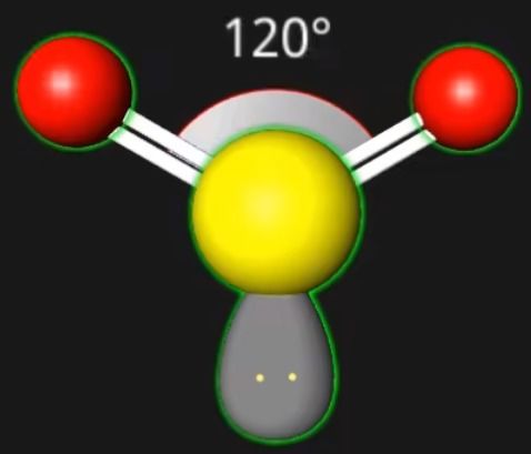 选必二 分子结构